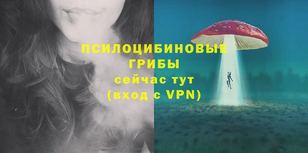 дживик Алексин