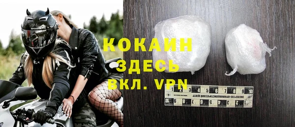 дживик Алексин