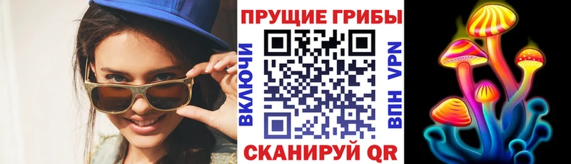 omg онион  Кашин  Галлюциногенные грибы прущие грибы 